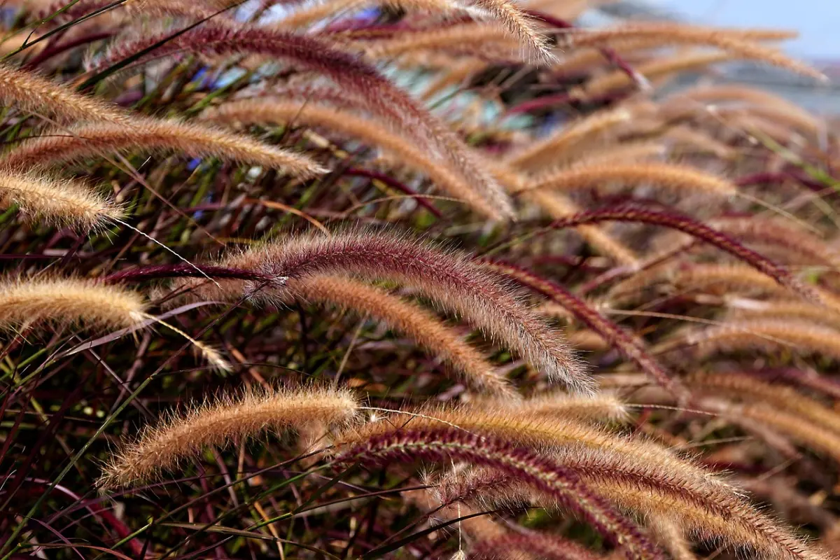 Duurzaamheid thuisaccu merken welke merken zijn écht eco-vriendelijk?