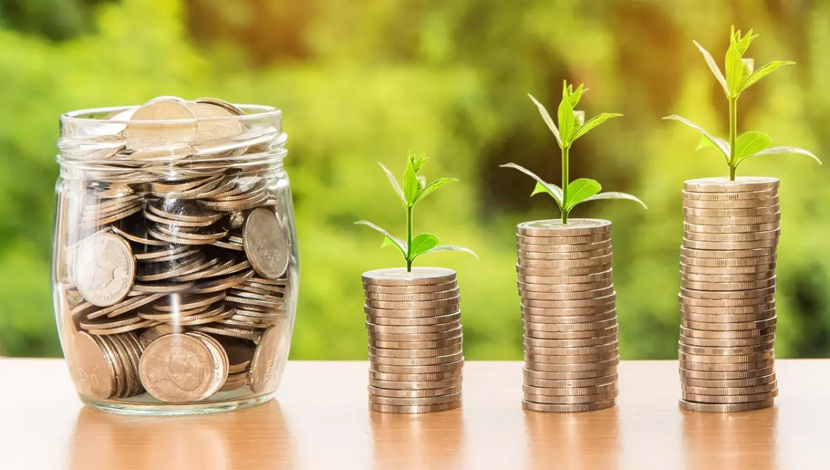Is een thuisaccu de investering waard? Kosten, rendement & praktijk