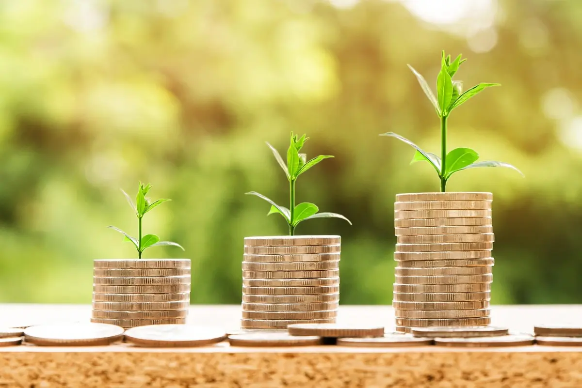 Winst thuisaccu vs net 2026: wat levert jou het meeste op?